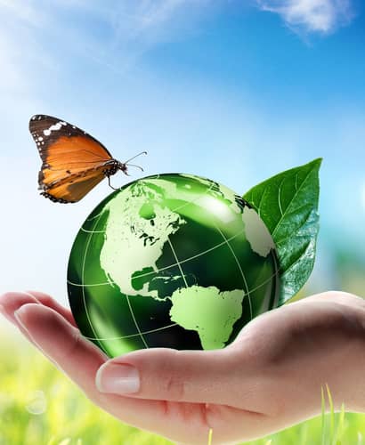 Riviera Resort Hotel Green Hotel 02