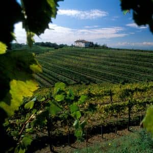 Riviera Resort Hotel Lignano Colline Friulane